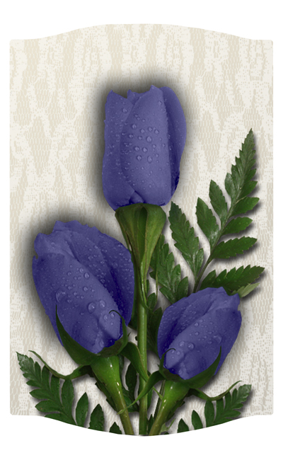 DNSLOG C 055 2 Roses Purple 